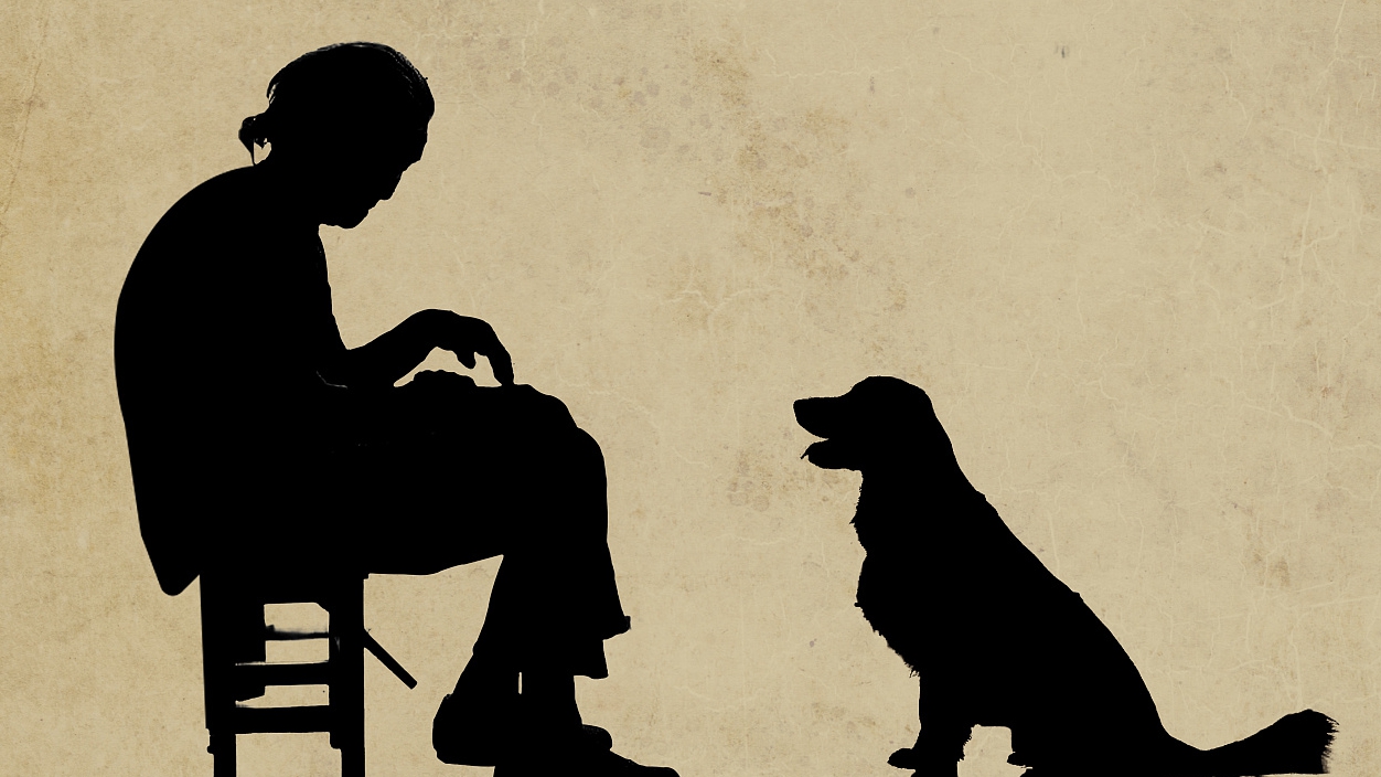 “空巢”不“空心”，超1億空巢老人如何老有頤養(yǎng)、老有所樂(lè)？