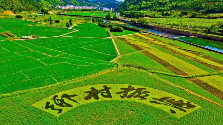 政策解讀｜《中共中央 國務(wù)院關(guān)于做好2023年全面推進(jìn)鄉(xiāng)村振興重點工作的意見》