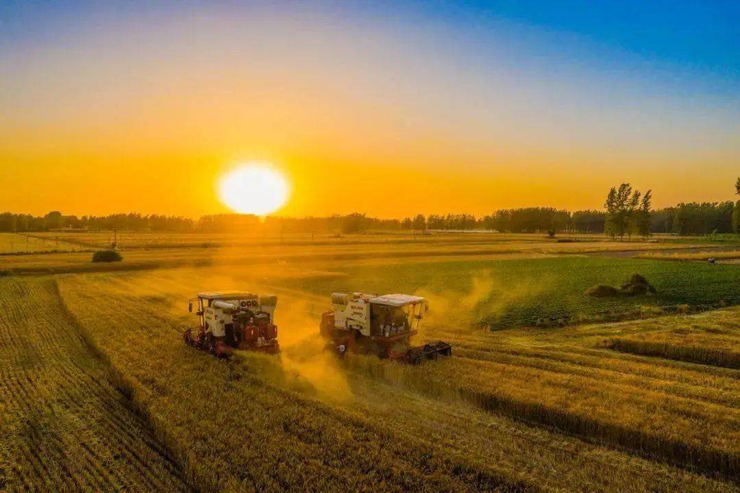 2023年鄉村振興的三大戰略要點