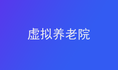 虛擬養老院：含義、問題與創新路徑